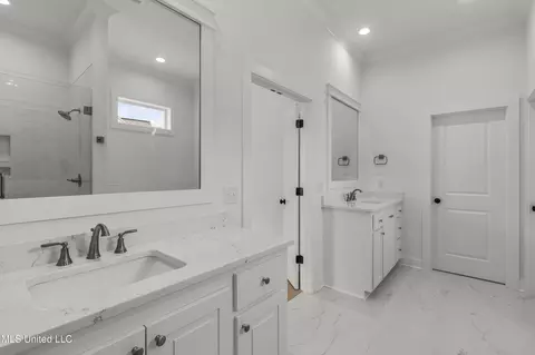 Bath - 373 Wellstone Pl, Madison, MS 39110 photo 5 of 5