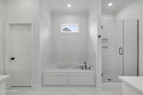Bath - 373 Wellstone Pl, Madison, MS 39110 photo 1 of 5