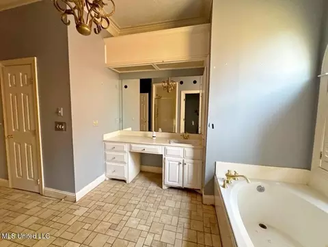Bath - 58 Robinwood Pl, Jackson, MS 39211 photo 2 of 2