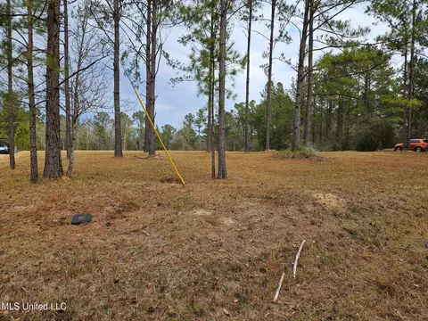 46 Presley Dr, Wiggins, MS 39577 photo 14