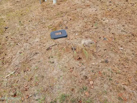 46 Presley Dr, Wiggins, MS 39577 photo 6
