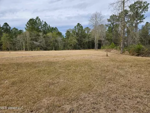 46 Presley Dr, Wiggins, MS 39577 photo 4