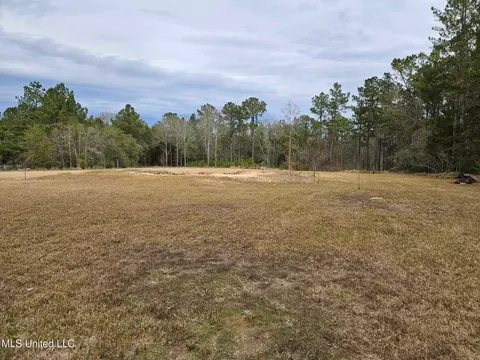 46 Presley Dr, Wiggins, MS 39577 photo 2