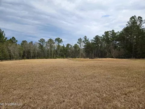 46 Presley Dr, Wiggins, MS 39577 photo 7