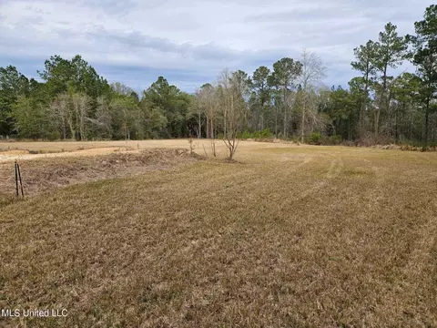 46 Presley Dr, Wiggins, MS 39577 photo 5