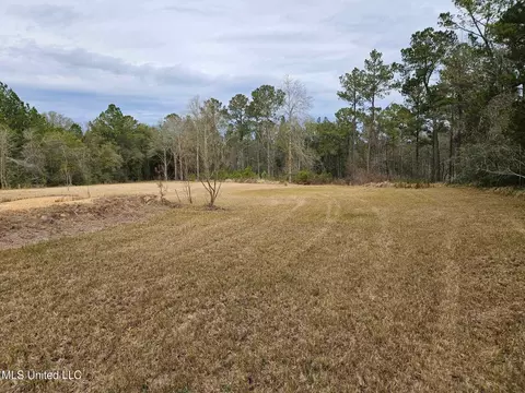 46 Presley Dr, Wiggins, MS 39577 photo 11