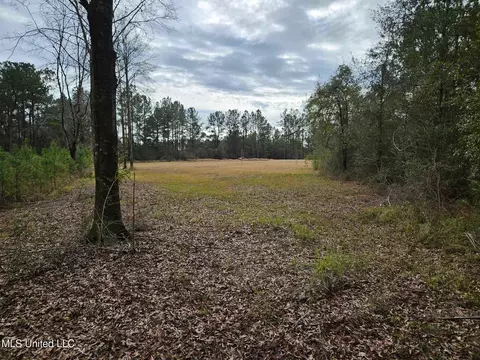 46 Presley Dr, Wiggins, MS 39577 photo 12