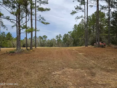 46 Presley Dr, Wiggins, MS 39577 photo 9