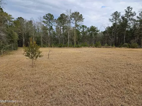 46 Presley Dr, Wiggins, MS 39577 photo 8