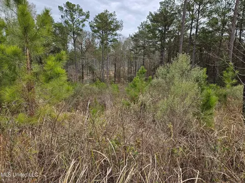 46 Presley Dr, Wiggins, MS 39577 photo 18