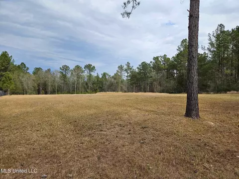 46 Presley Dr, Wiggins, MS 39577 photo 3