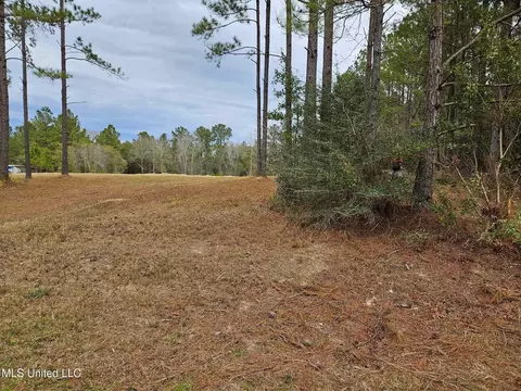 46 Presley Dr, Wiggins, MS 39577 photo 15