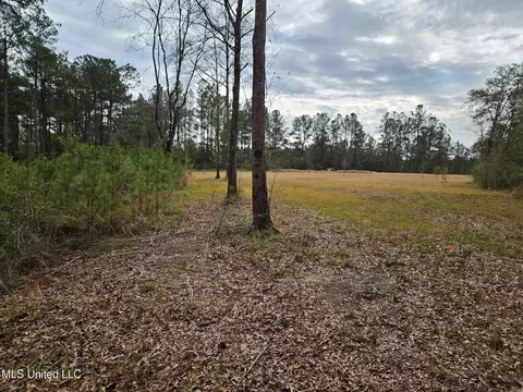 46 Presley Dr, Wiggins, MS 39577 photo 16