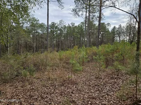 46 Presley Dr, Wiggins, MS 39577 photo 17