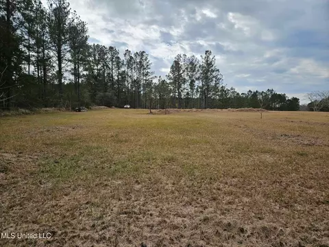 46 Presley Dr, Wiggins, MS 39577 photo 10