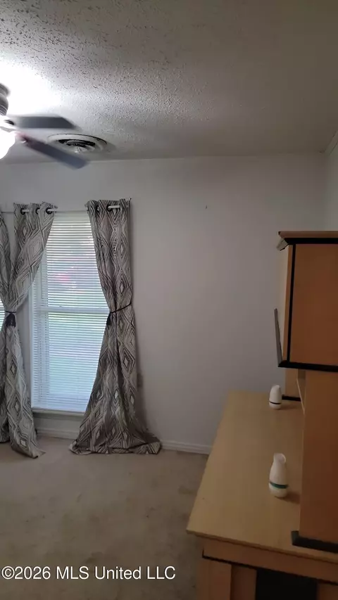 Other - 817 Roosevelt St, Forest, MS 39074 photo 4 of 4