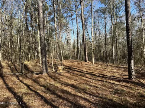 0000 Crooked Creek Rd, Silver Creek, MS 39663