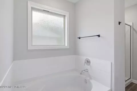 Bath - 536 Stone Brook Pl, Brandon, MS 39042 photo 2 of 3