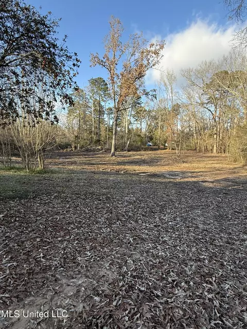 Exterior - 320 Eagle Cv, Pearl, MS 39208 photo 11 of 16