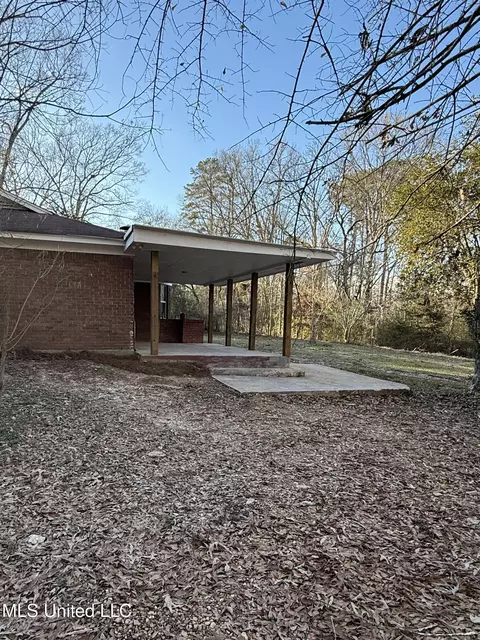 Exterior - 320 Eagle Cv, Pearl, MS 39208 photo 9 of 16