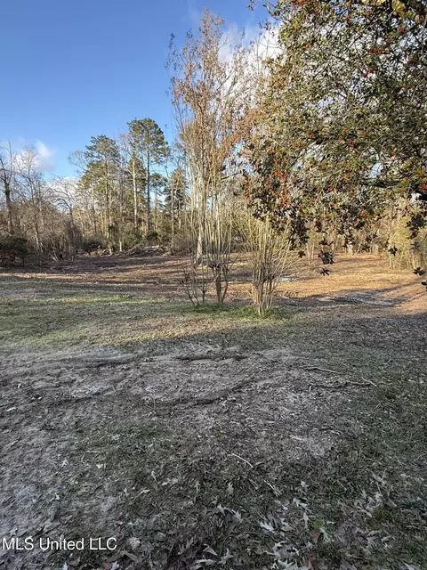 Other - 320 Eagle Cv, Pearl, MS 39208 photo 5 of 8