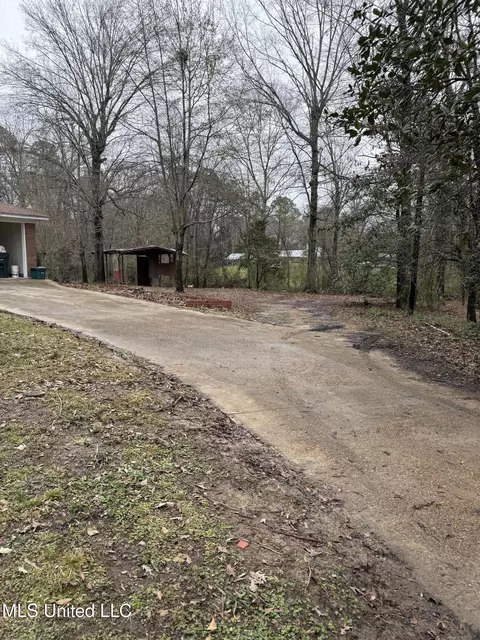 Exterior - 320 Eagle Cv, Pearl, MS 39208 photo 15 of 16