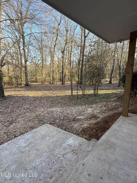 Exterior - 320 Eagle Cv, Pearl, MS 39208 photo 6 of 16