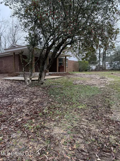 Exterior - 320 Eagle Cv, Pearl, MS 39208 photo 14 of 16
