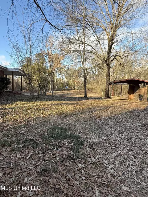 Exterior - 320 Eagle Cv, Pearl, MS 39208 photo 7 of 16