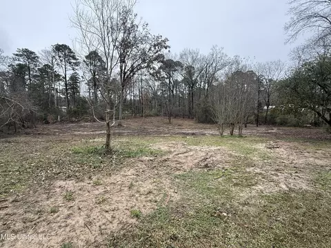 Other - 320 Eagle Cv, Pearl, MS 39208 photo 7 of 8