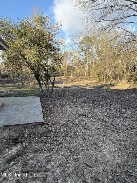 Exterior - 320 Eagle Cv, Pearl, MS 39208 photo 8 of 16