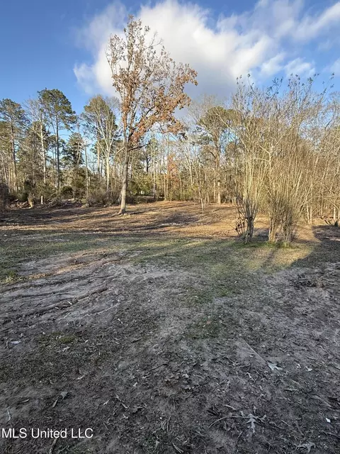 Exterior - 320 Eagle Cv, Pearl, MS 39208 photo 10 of 16