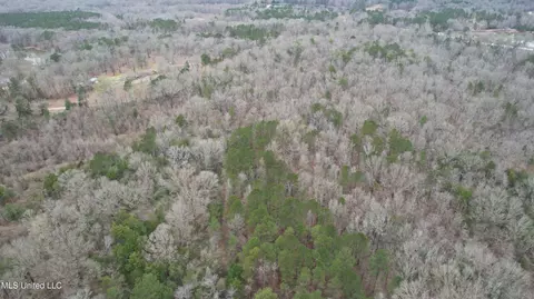 00 Ratliff Rd, Raymond, MS 39154 photo 9