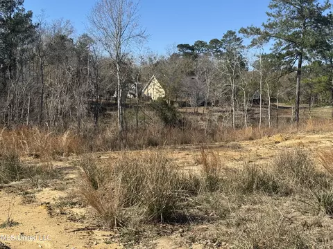 Maluhia Drive, Diamondhead, MS 39525