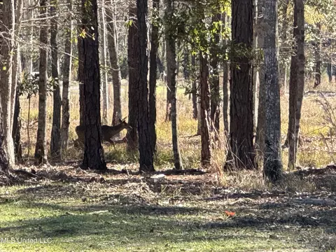 Maluhia Drive, Diamondhead, MS 39525 photo 3