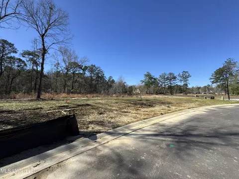 Maluhia Drive, Diamondhead, MS 39525 photo 2
