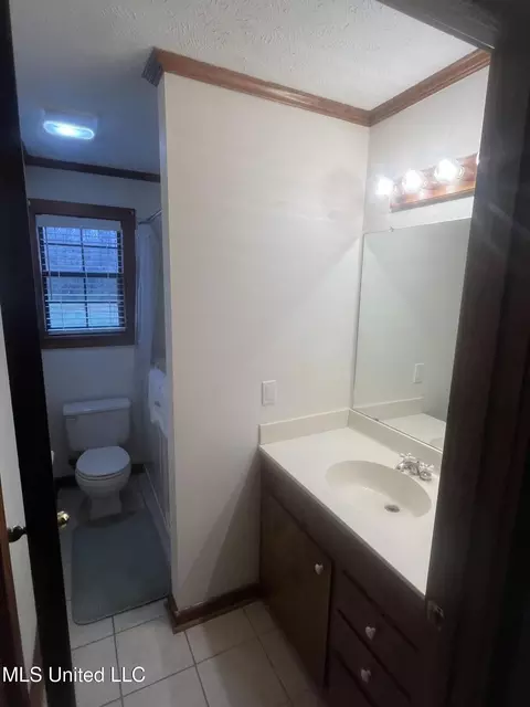 Bath - 2820 NW Horace Ln, Wesson, MS 39191 photo 5 of 5