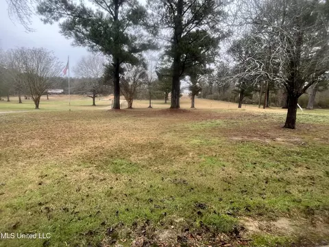 Exterior - 2820 NW Horace Ln, Wesson, MS 39191 photo 6 of 7