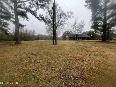 Exterior - 2820 NW Horace Ln, Wesson, MS 39191 photo 4 of 7