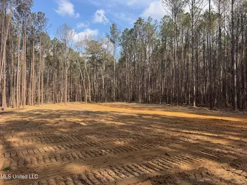 Robinson Road, Canton, MS 39046