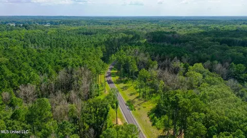 Springwood Trail, Flora, MS 39071 photo 23