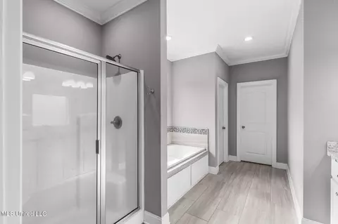 Entry Way - 522 Carpenter Cv, Madison, MS 39110 photo 12 of 14