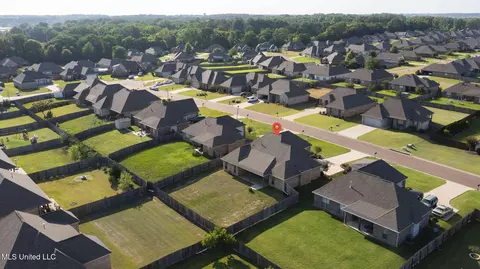 View/Area - 522 Carpenter Cv, Madison, MS 39110 photo 10 of 14
