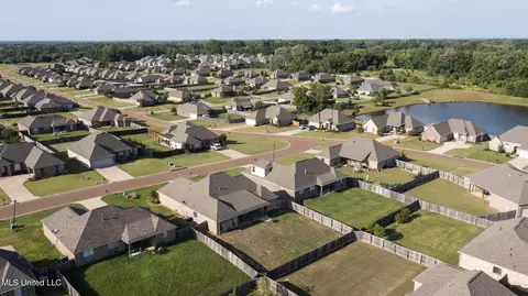View/Area - 522 Carpenter Cv, Madison, MS 39110 photo 13 of 14