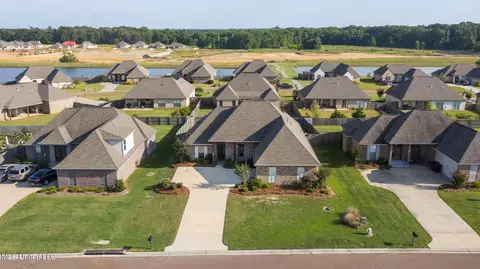 View/Area - 522 Carpenter Cv, Madison, MS 39110 photo 1 of 14