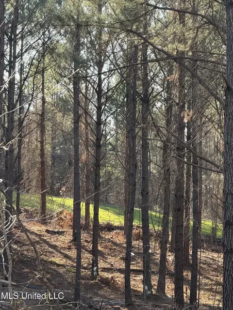 Byron Paul Lane, Crystal Springs, MS 39059