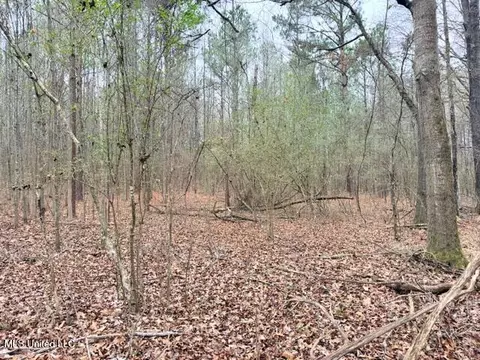 454 Old Enochs Rd, Florence, MS 39073 photo 25