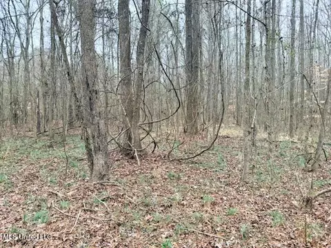 454 Old Enochs Rd, Florence, MS 39073 photo 24