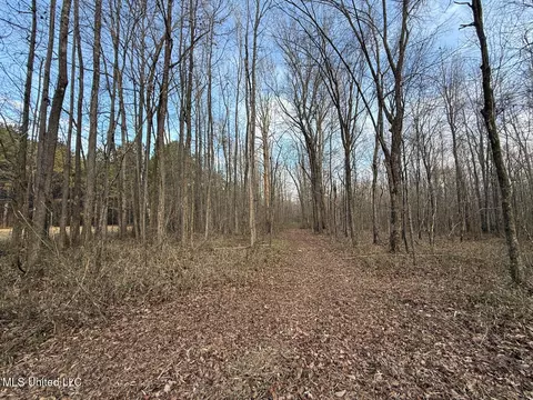 1356 Harrell Road Rd, Maben, MS 39750 photo 27