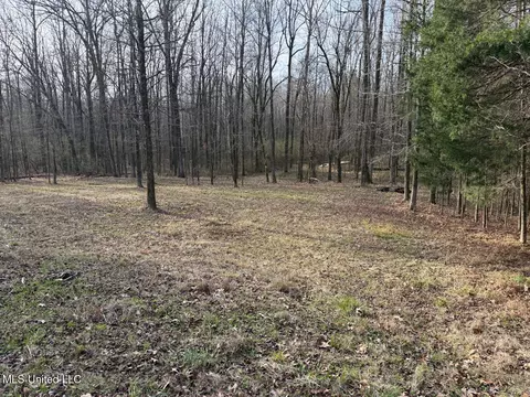 1356 Harrell Road Rd, Maben, MS 39750 photo 6